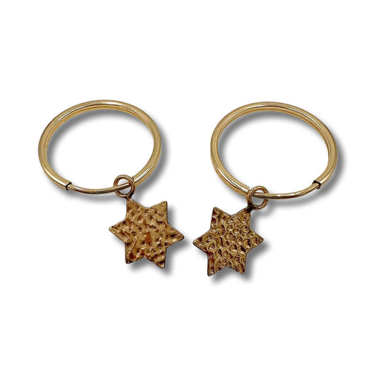 Gold Filled Star of David earrings