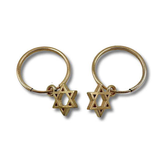 Star of David Earrings Gold Filled/Sterling silver